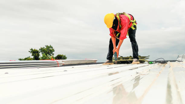 Best Commercial Roofing Services  in Schler Park, IL