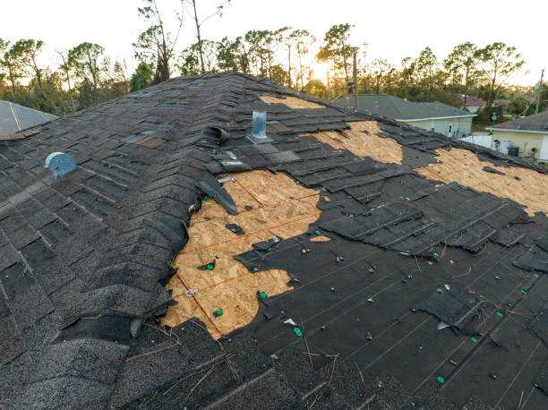 Best Storm Damage Roof Repair  in Schler Park, IL